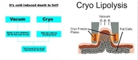 Fabrieksprijs!!! De nieuwe Machine van het de Cavitatie Vacuümvermageringsdieet van Cryolipolysis rf