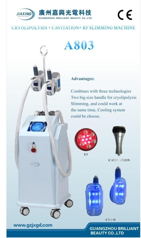 Het niet Invasieve Cryolipolysis-Materiaal van de Vermageringsdieetschoonheid met de Aanraking Screen/A804 van de 8 duimkleur